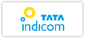 Tata-Icon